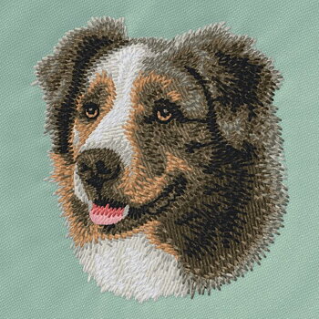 Australian Shepherd