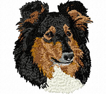 Collie Tricolor