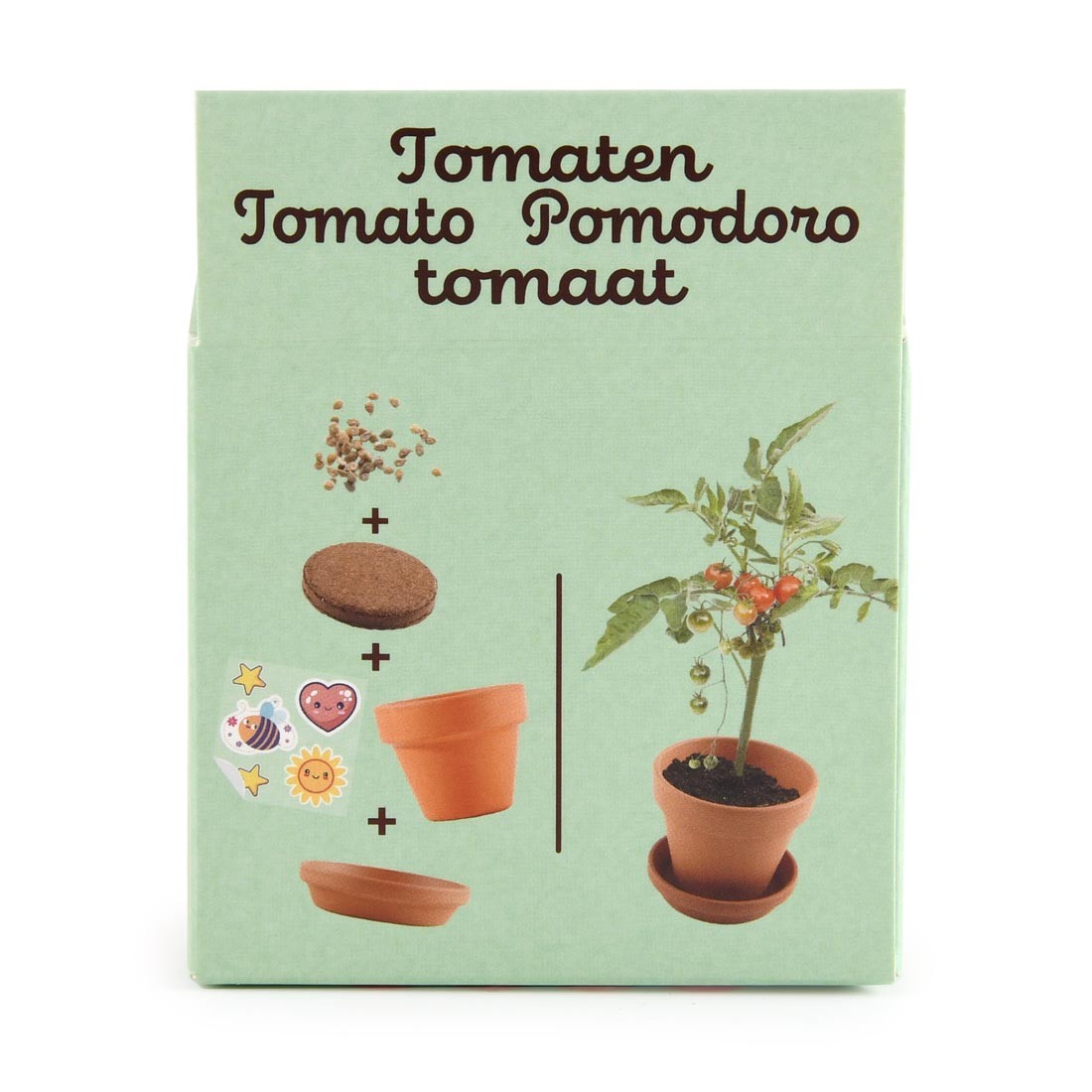 Tomat odla din egen mini - 4
