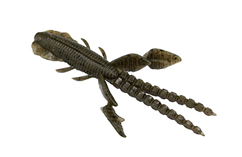 Galapagos Empel Bug 5-pack