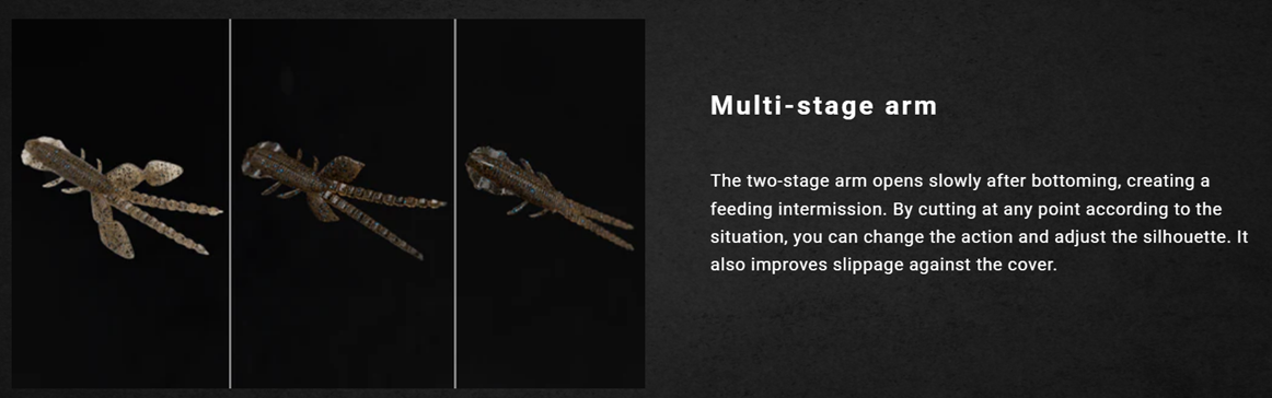Galapagos Empel Bug 5-pack - 3