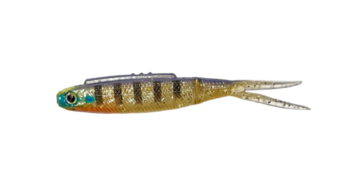 Galapagos High Roll 3.5" 6-pack - 9