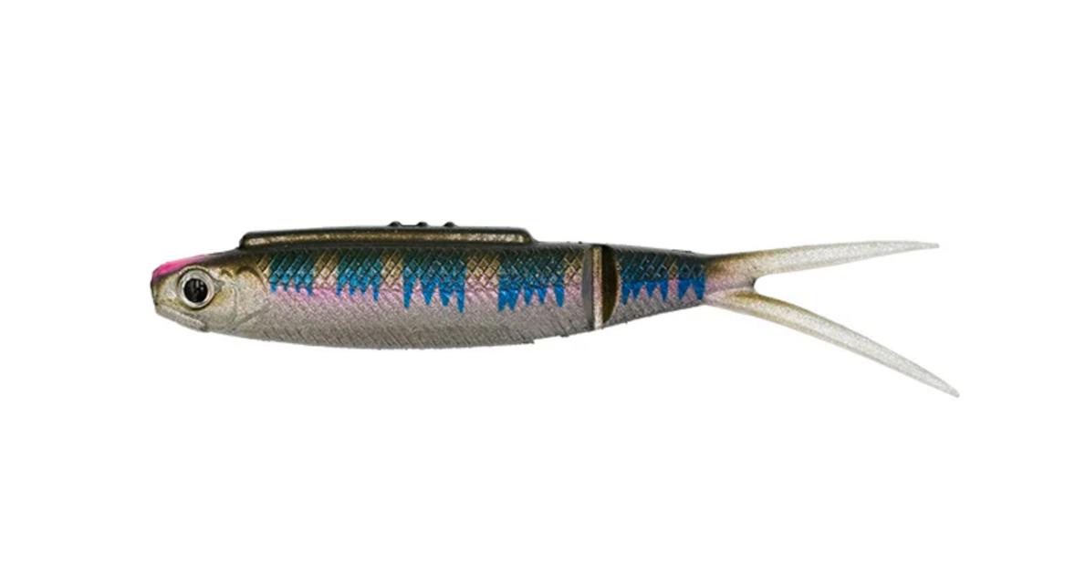 Galapagos High Roll 3.5" 6-pack - 4