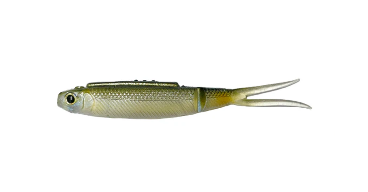 Galapagos High Roll 3.5" 6-pack