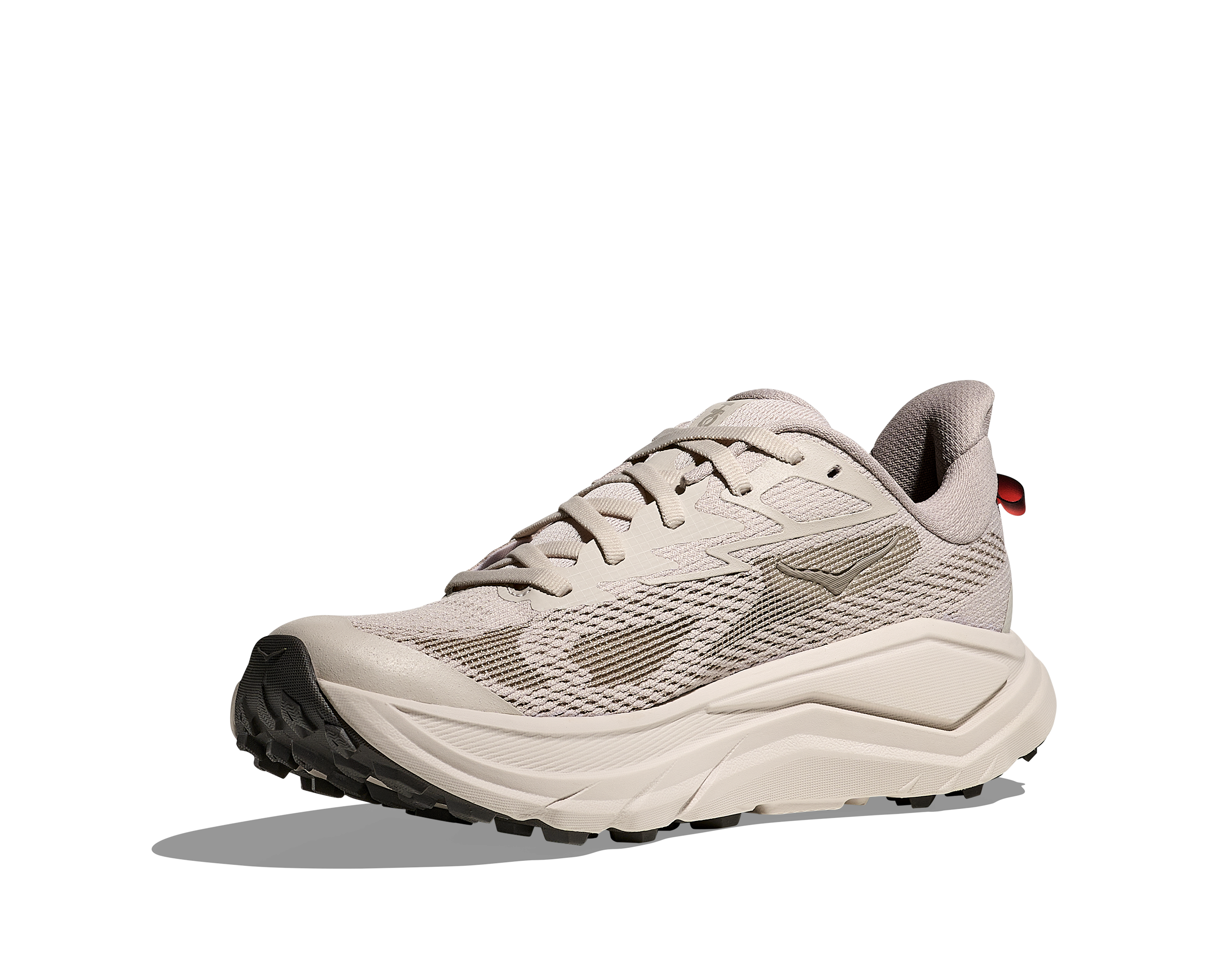 Hoka One One Challenger 8 Wide - Stucco / Asphalt grey - 4