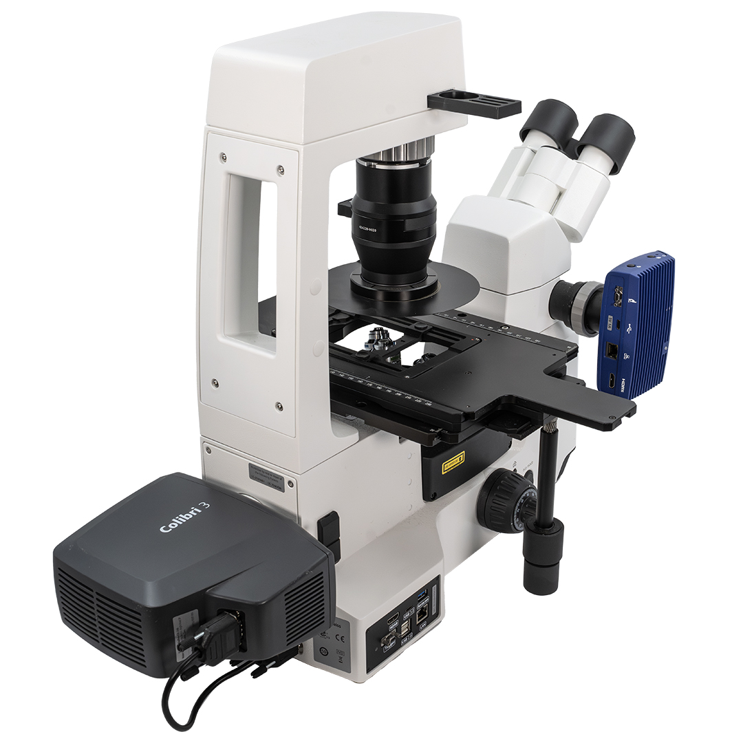 Zeiss Axiovert 5 inverterat fluorescensmikroskop - NYSKICK, BEGAGNAT - 2