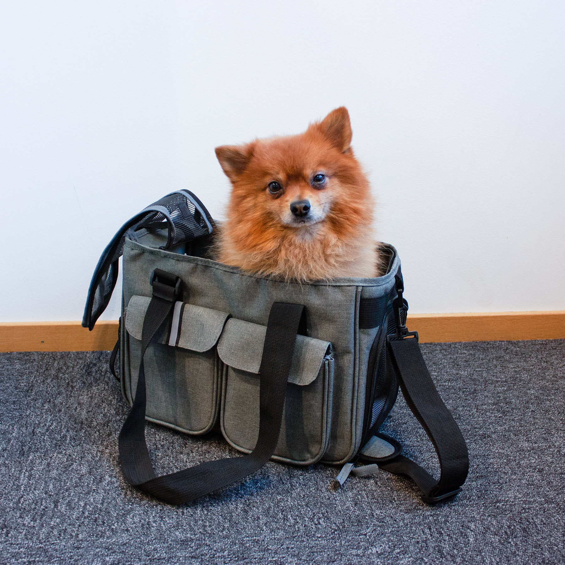 Dogman - Bärväska Ludde - Grå - 5