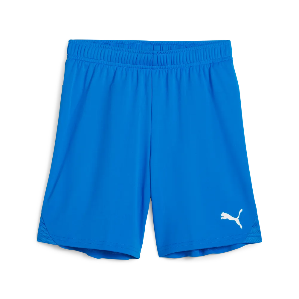 Puma Teamgoal Shorts (Lycksele IF)