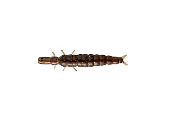 Nikko Caddisfly 1.5" 5-pack