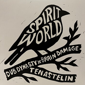 Brain Damage - Spirit World 