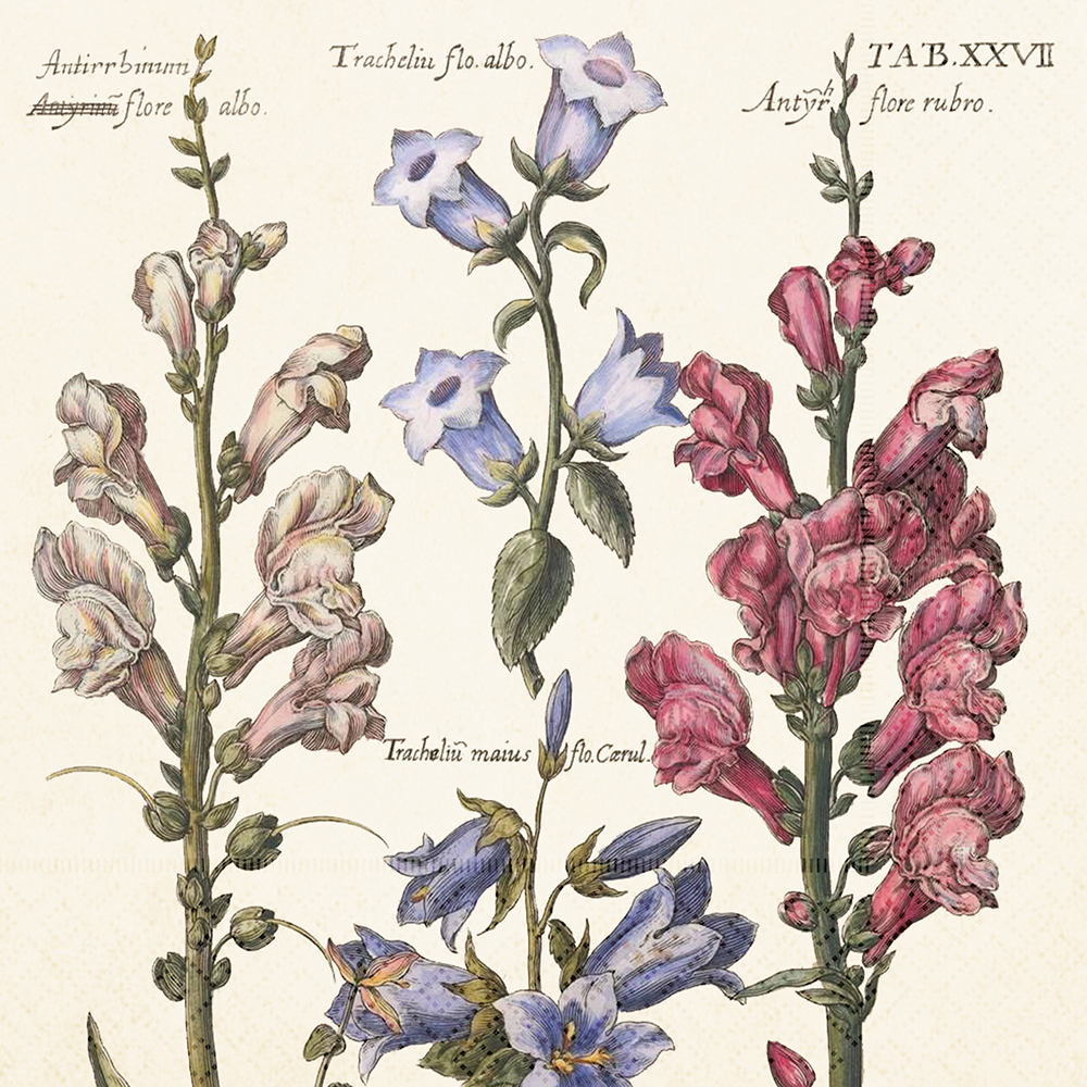 Servett Blommor I