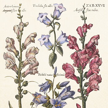 Servett Blommor I