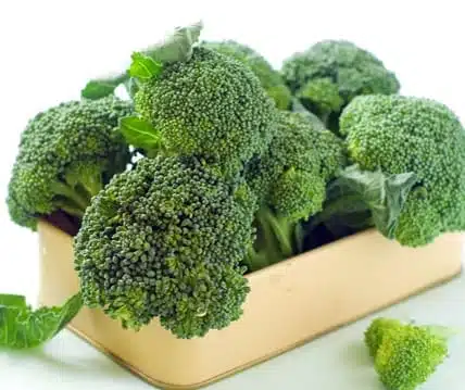 Broccoli F1 Marathon 10 frön F1