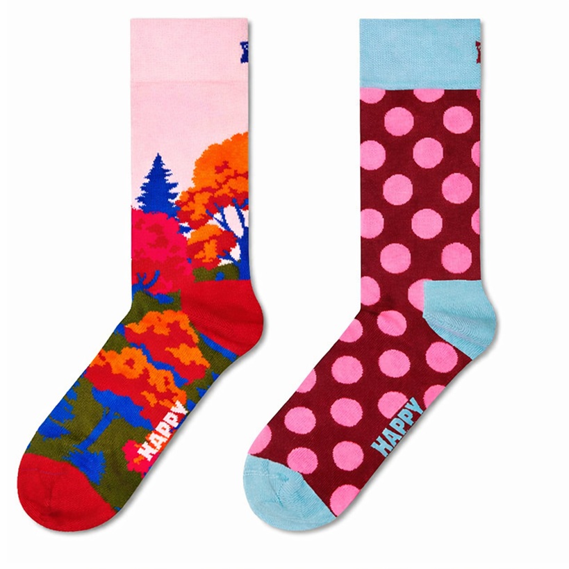 2-Pack Happy Socks Autumn and Dots Socks