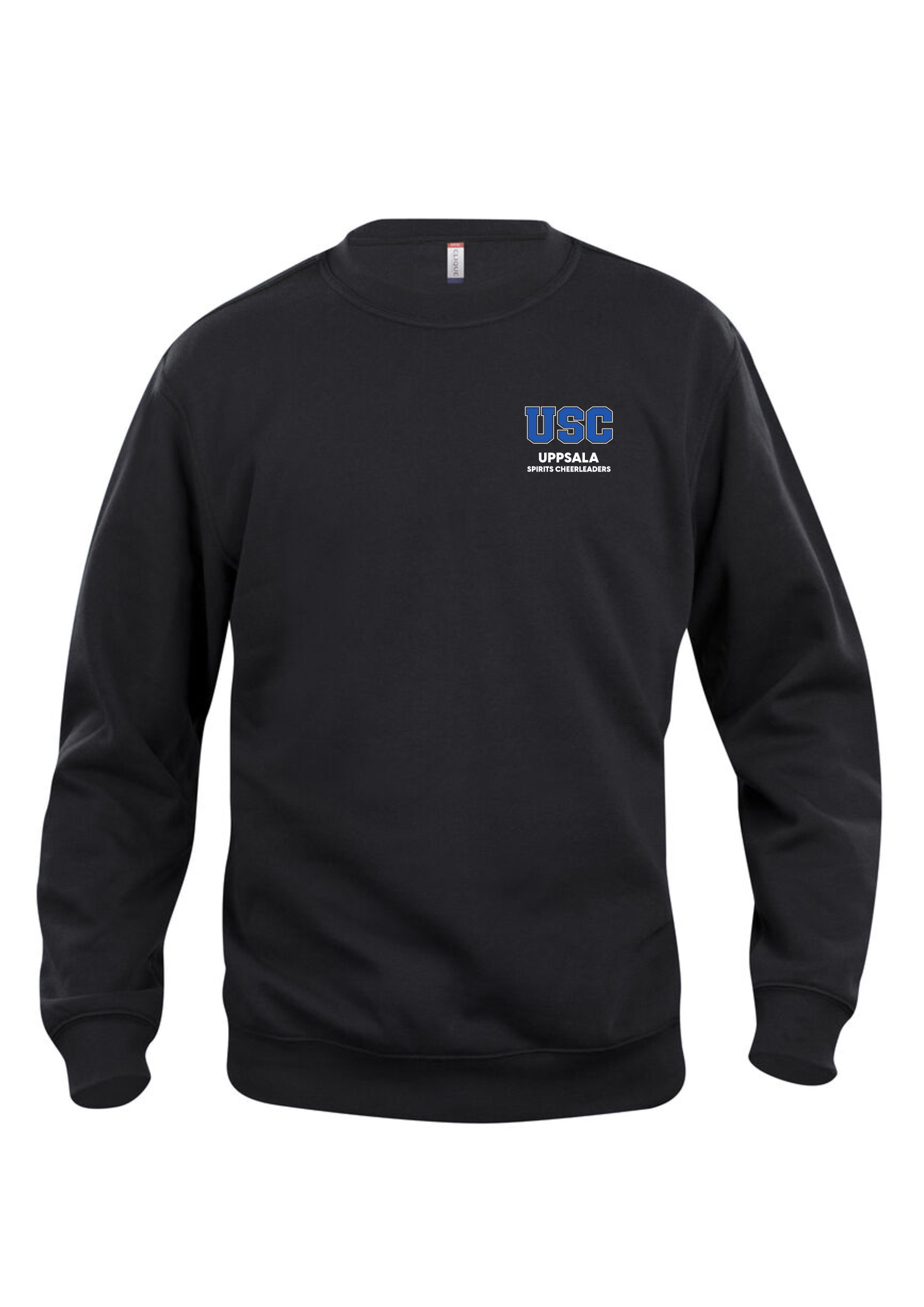 Sweatshirt USC Bröst Tryck JR