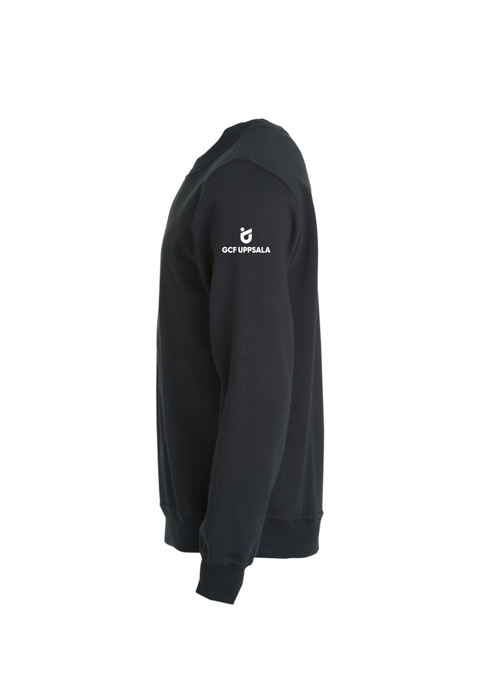 Sweatshirt USC Bröst Tryck JR - 2