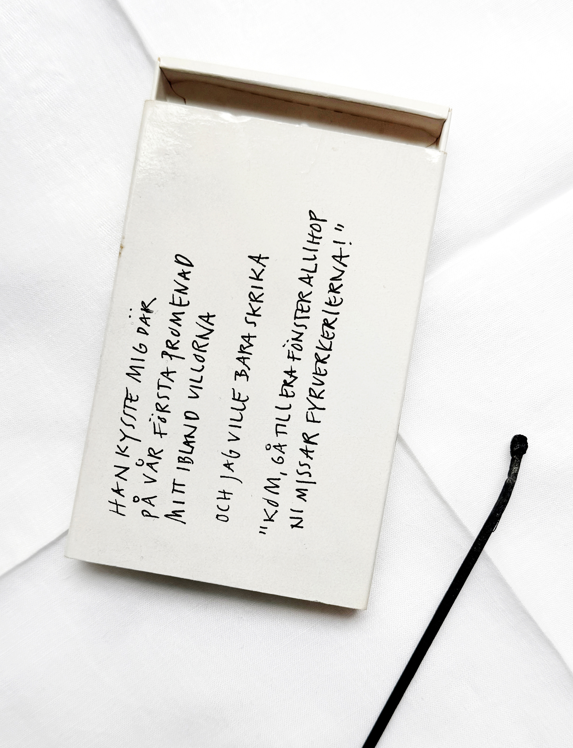 PUBLISHING PUBLISHING x MICHAELA HAMILTON Fyrverkerier
