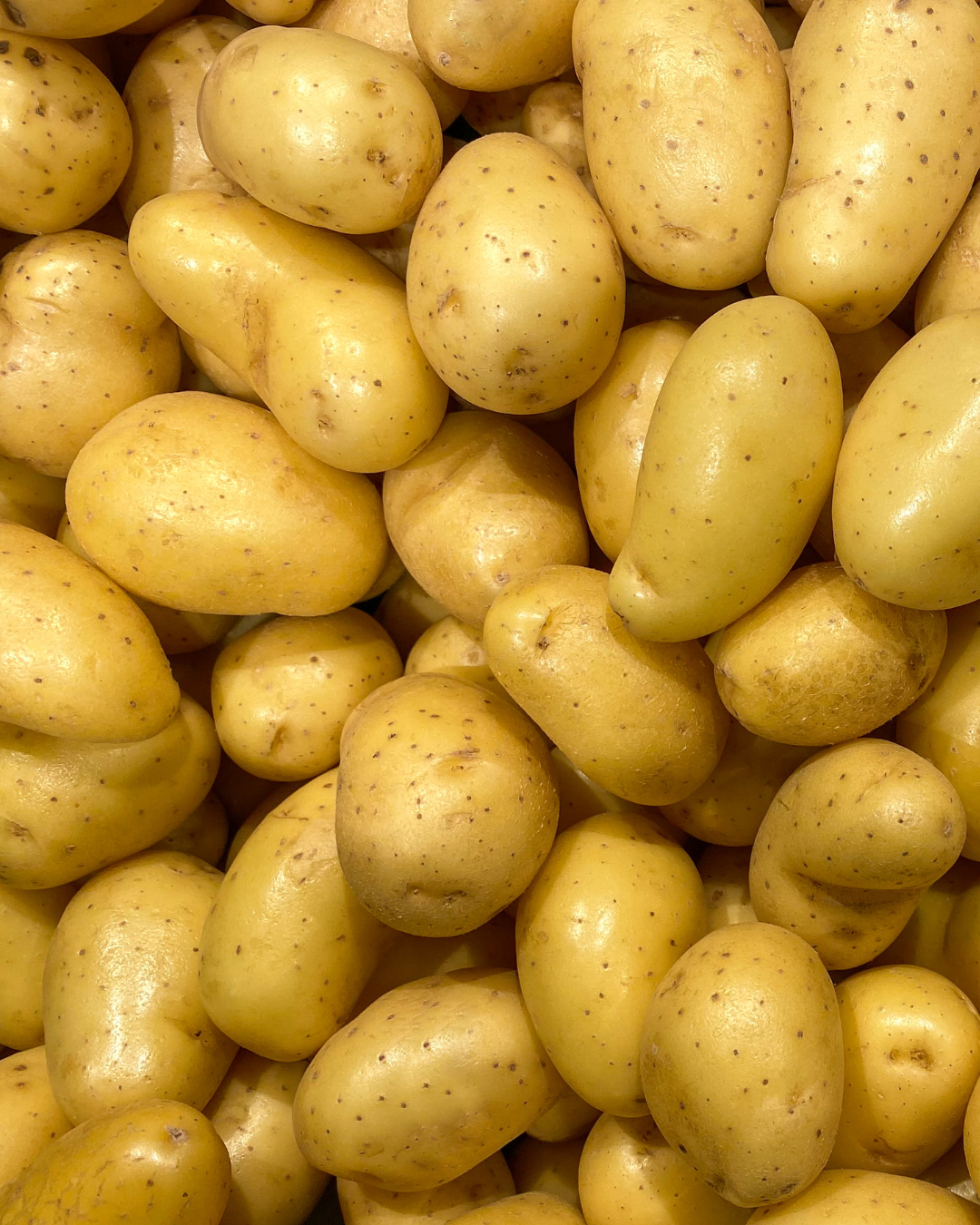 Sättpotatis - Actrice 1kg