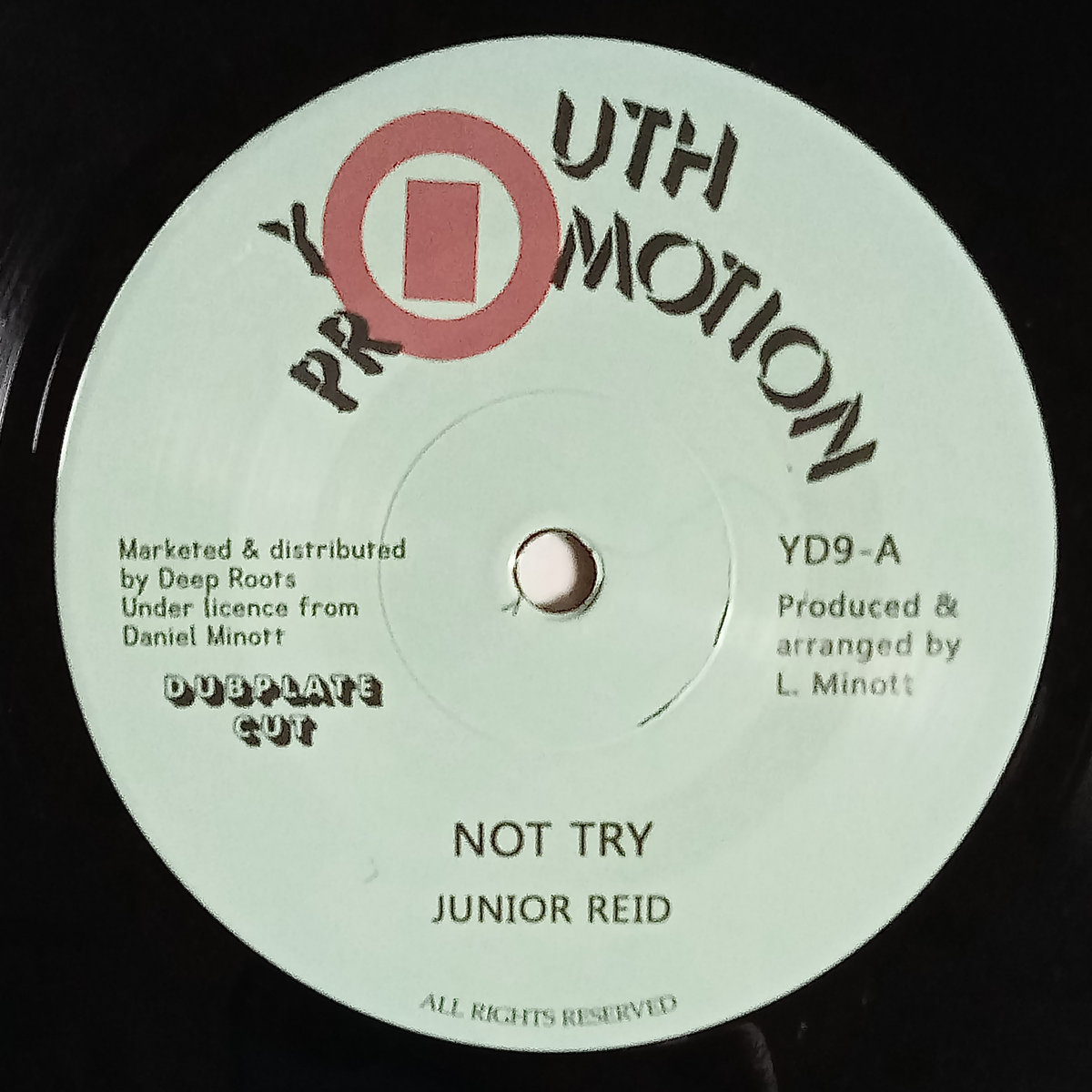 Junior Reid - Not Try 