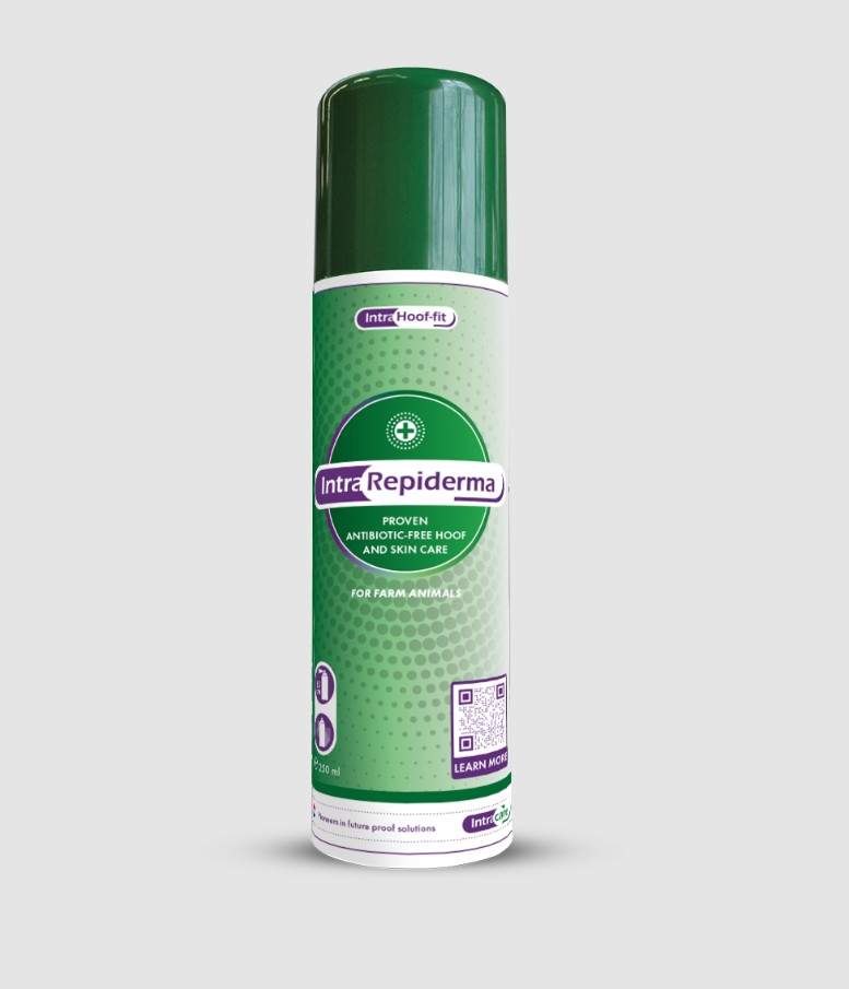 Repiderma  Hov & Hudspray 250 ml
