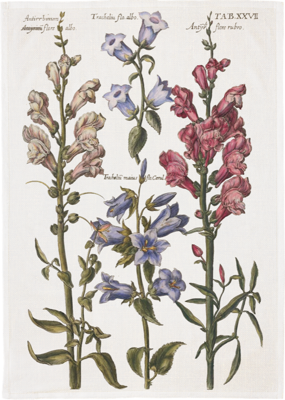 Kökshandduk Blomsteräng