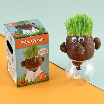Mr Green