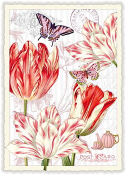 Tausendschön : Tea & Tulips - Vykort
