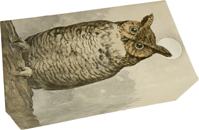 Tvål Uggla