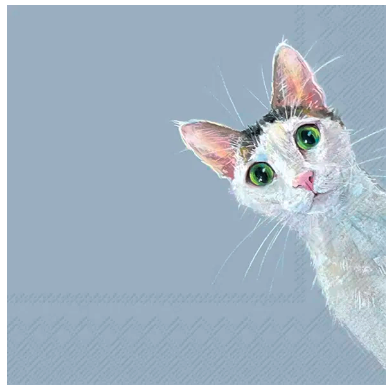 Servetter - CAT STELLA - Lunch