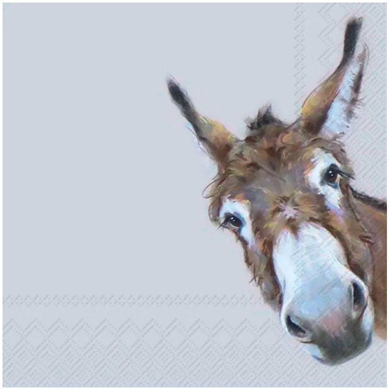 Servetter - DONKEY GONZO - Lunch