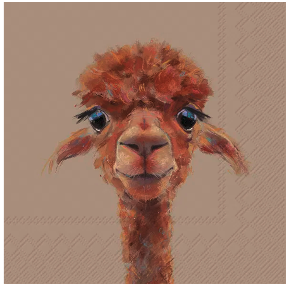 Servetter - ALPACA FERNANDO - Lunch