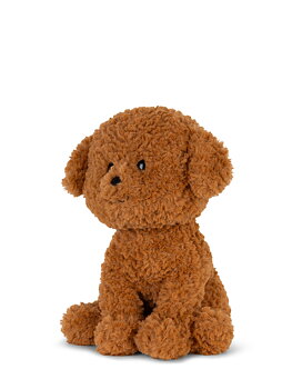 Stacy the Labradoodle in giftbox - 18 cm