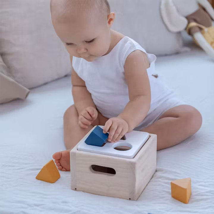Plock i låda  -  Plan Toys - 2
