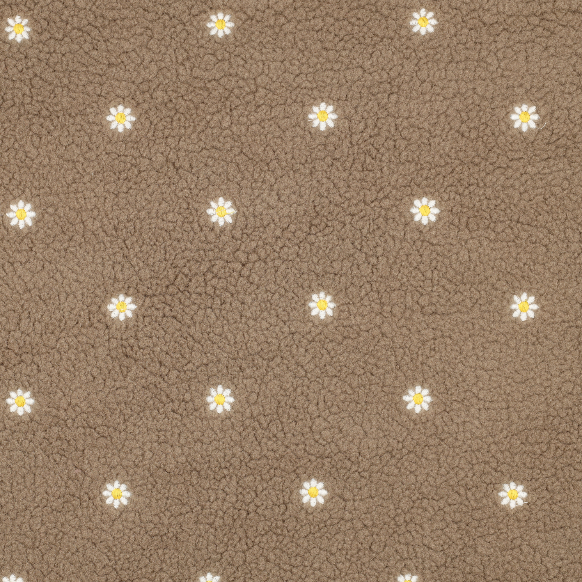 TEDDY EMBROIDERY FLOWERS - TAUPE - 2