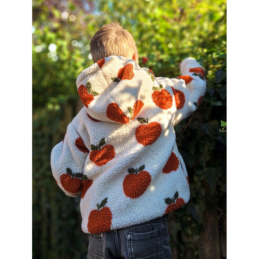 TEDDY - APPLE - 5