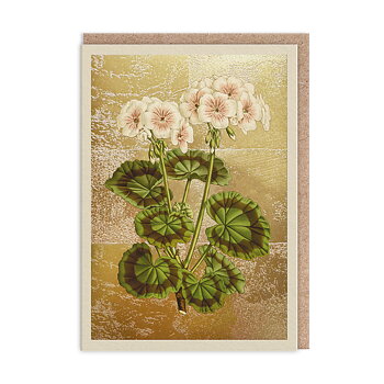 Ohh Deer : Geranium - Kort med guldfoliering och kuvert