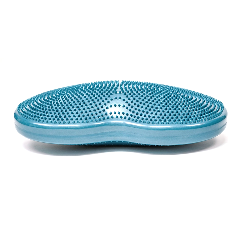 FitPAWS Duodisc as two balance disks for your dog's balance ball training