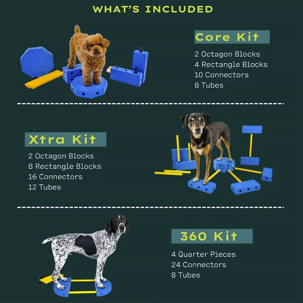 FitPAWS FitKinect - 8