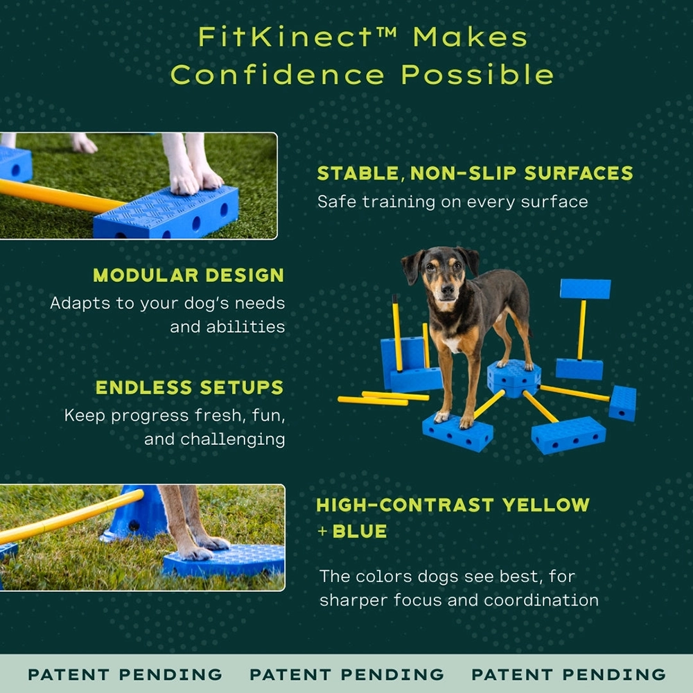 Träningsutrustning till hunden FitPAWS FitKinect