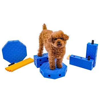 FitPAWS FitKinect