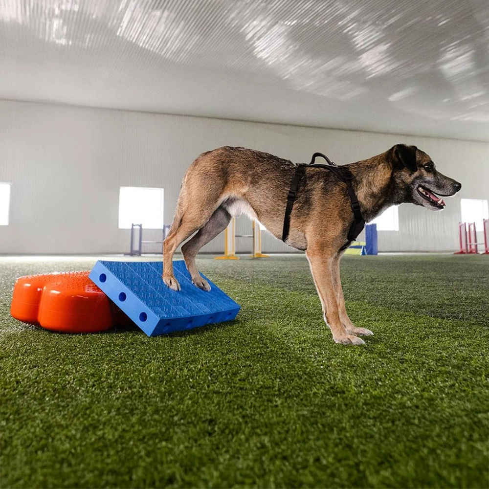 FitPAWS FitKinect - loose parts - 10