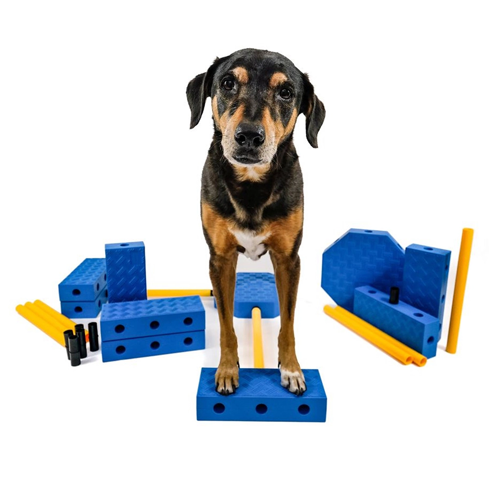 FitPAWS FitKinect - loose parts for dog training