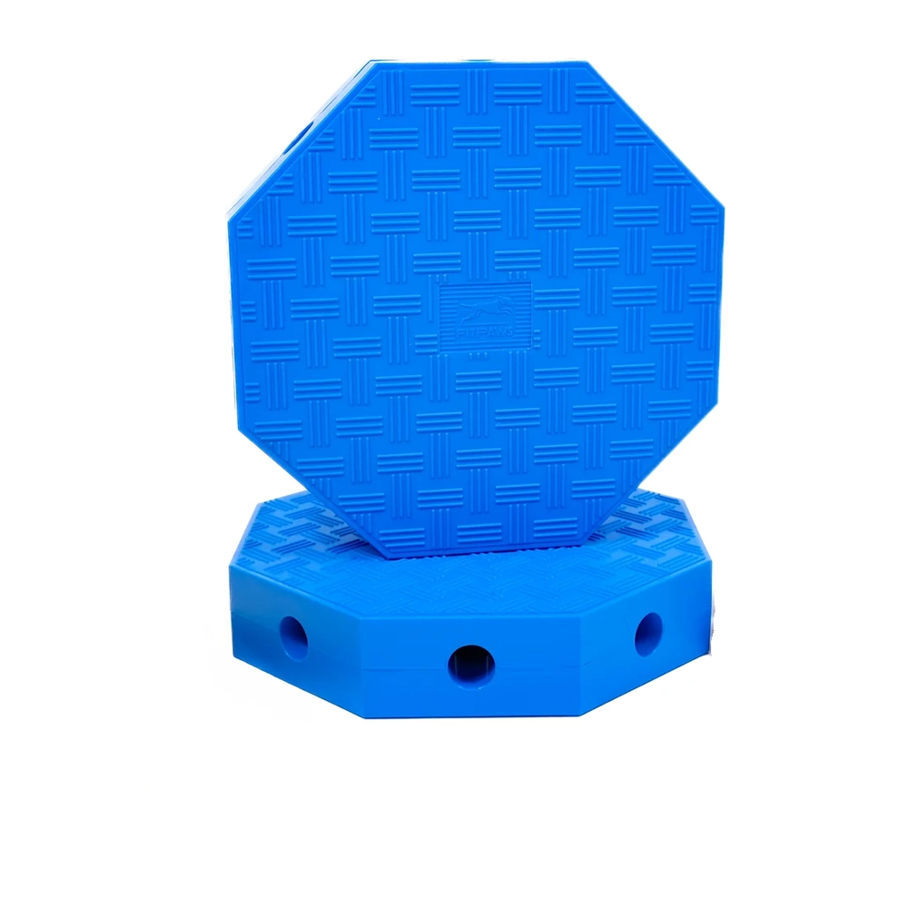 FitPAWS FitKinect - octagonal platform