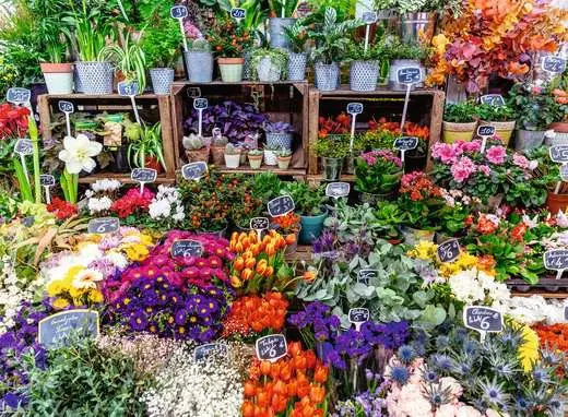 Flower Market, France,  500 Bitar Ravensburger