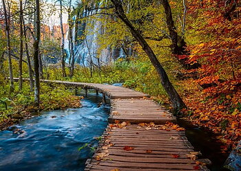 Autumnal Wood Trail, 1000 Bitar Ravensburger