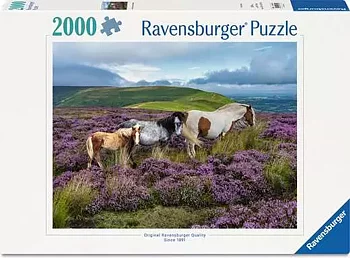 Wild Horses in the Heather, 2000 Bitar Ravensburger