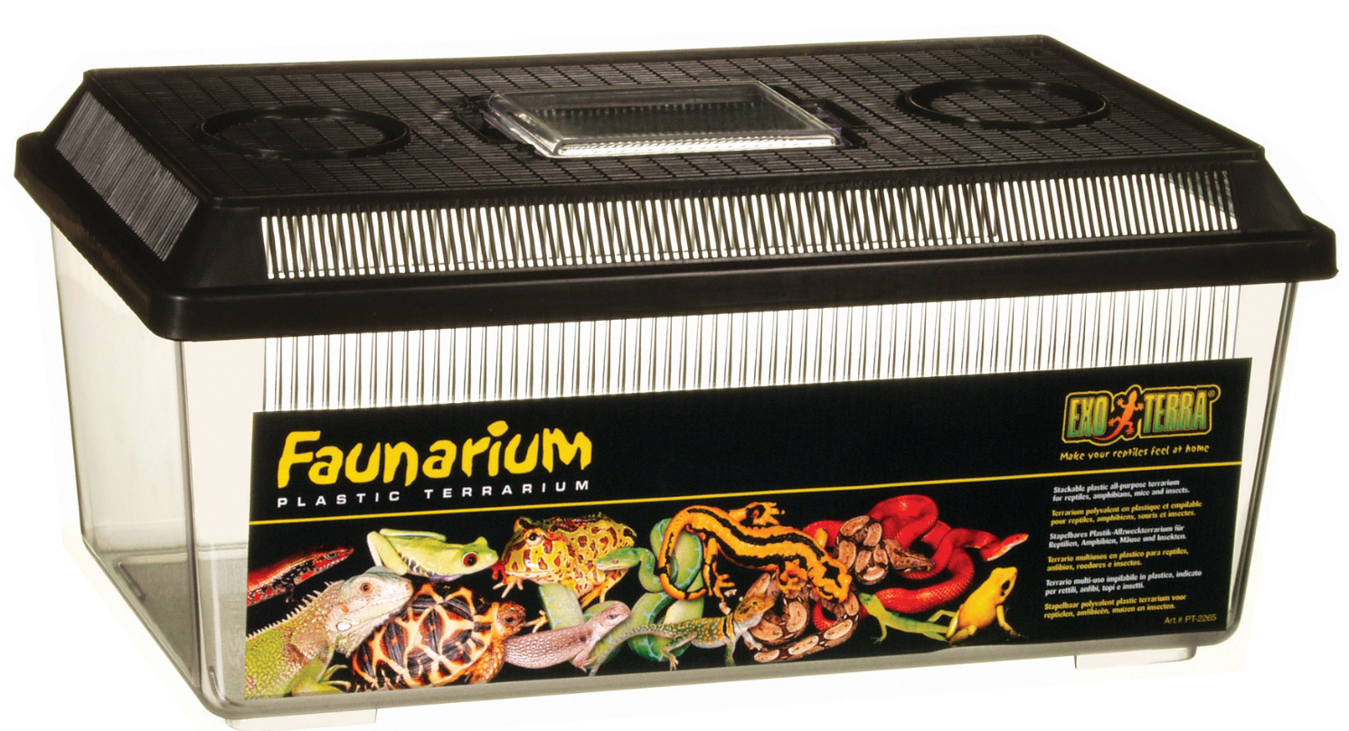 Plastterrarium flat modell, 37x22x16,5 cm Exoterra