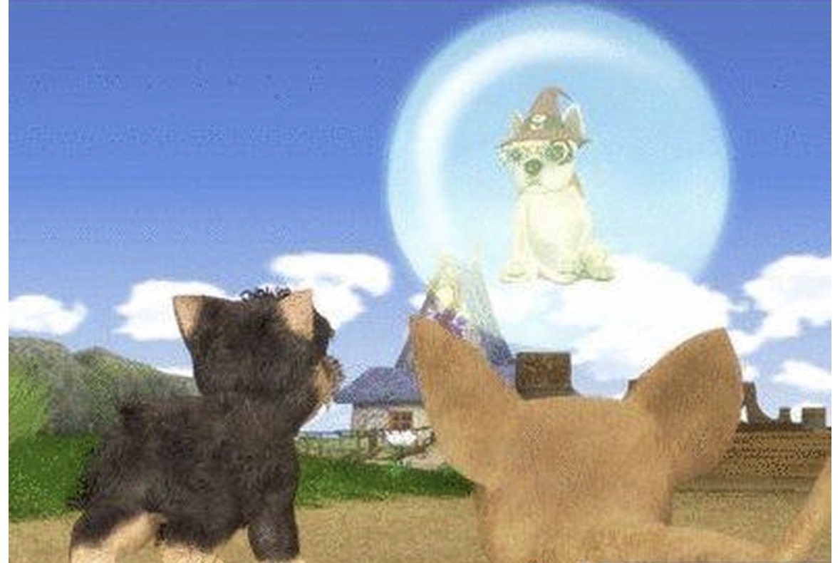 Dogz - PS2 - 3
