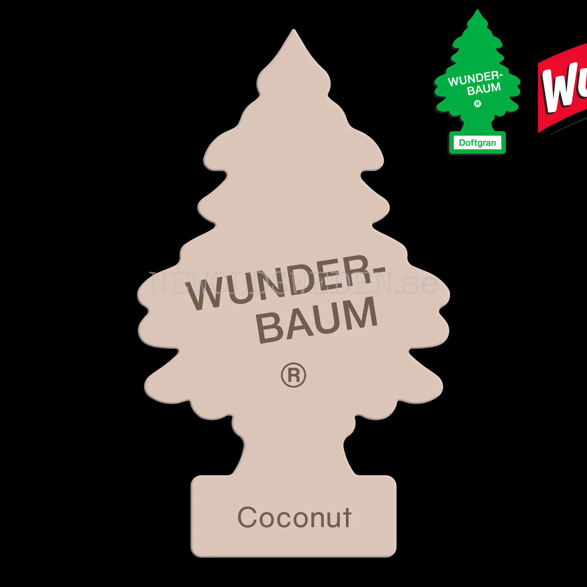 COCONUT Doftgran Wunder-Baum - 2