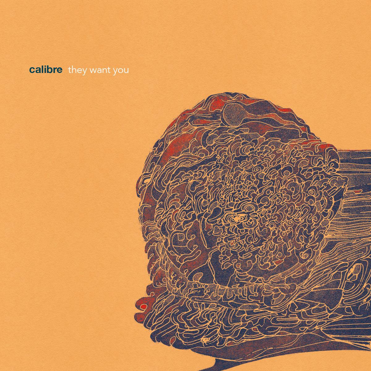Calibre - They want you